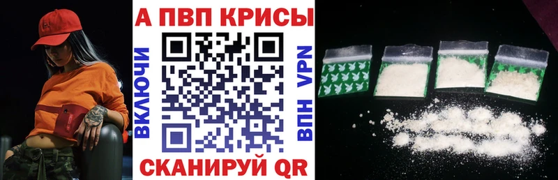 A PVP СК КРИС  Терек 