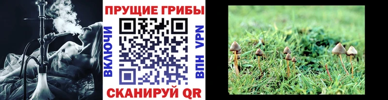 Галлюциногенные грибы ЛСД blacksprut как войти Терек как найти наркотики