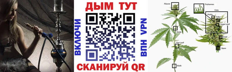 Бошки Шишки Bruce Banner  Терек 